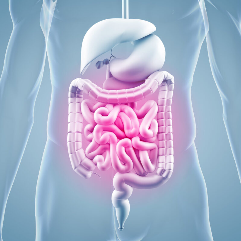 Leaky Gut Syndrome