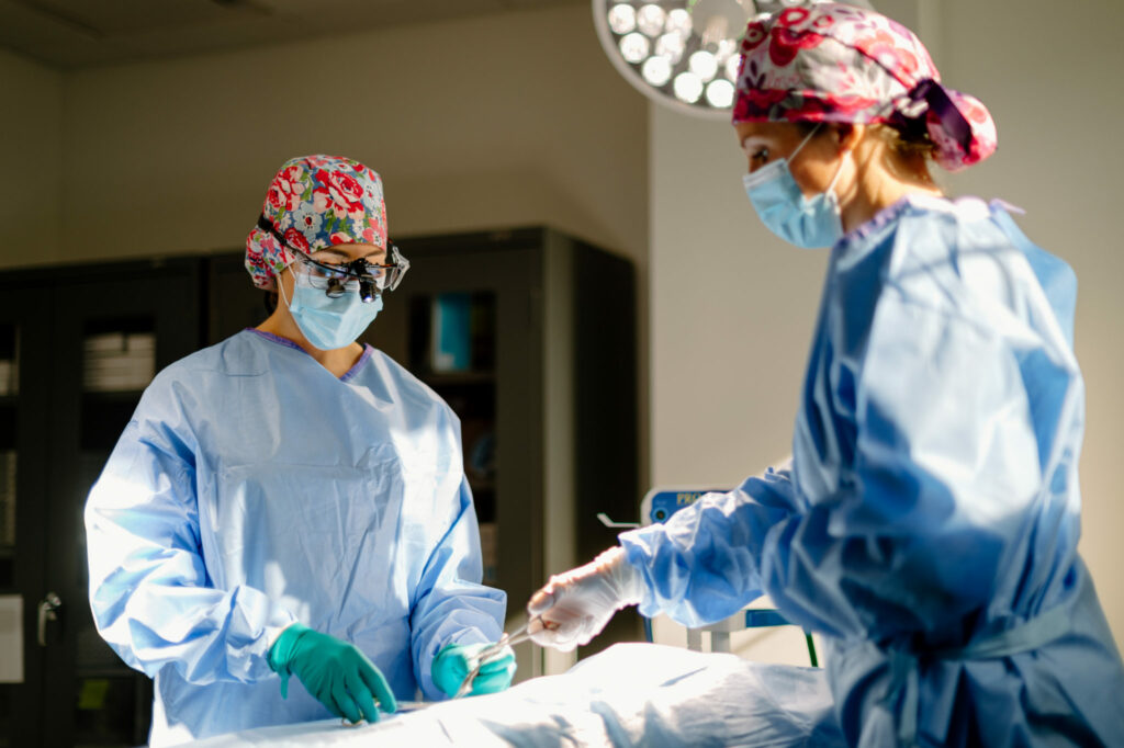 Plastic Surgery Experts During An Operation