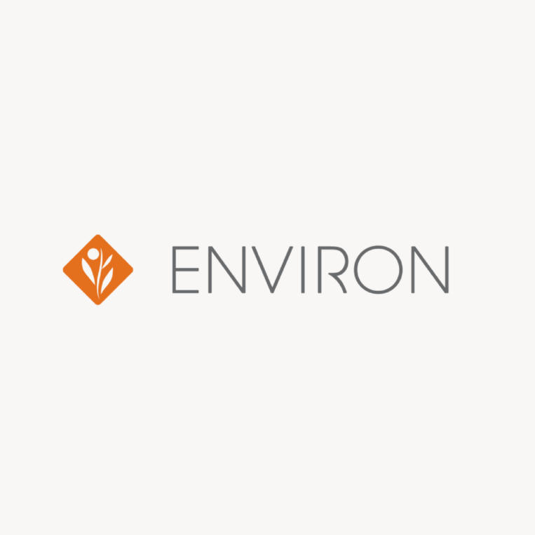 Environ Skin Care logo