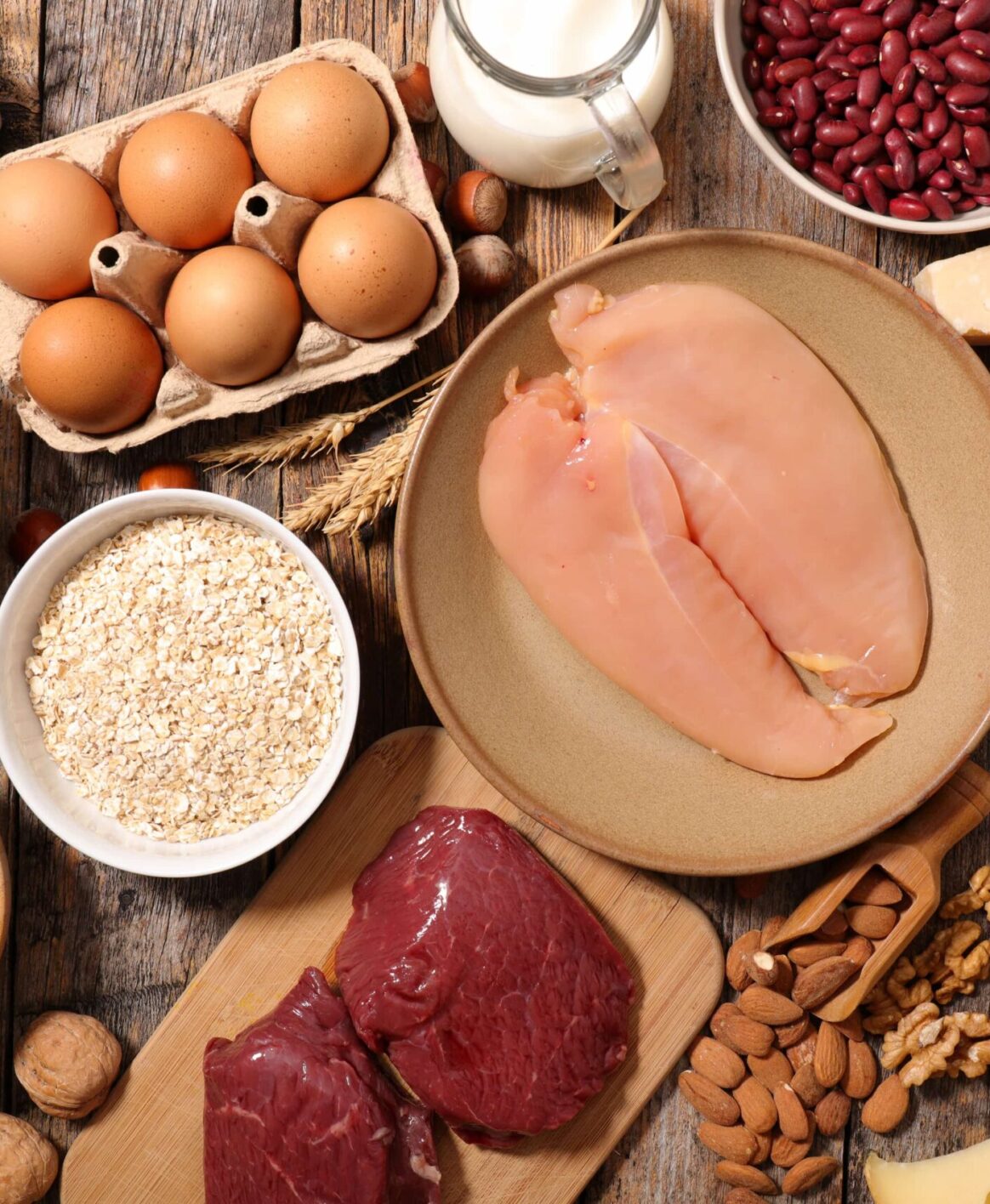 Best sources of protein